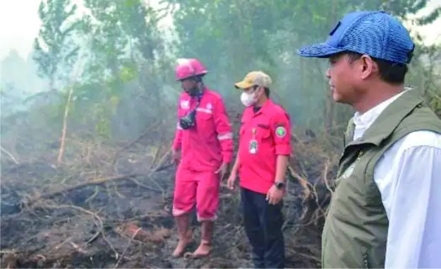 Tinjau Guntung Damar, Menhut Raja Antoni : Pelaku Karhutla Ditindak Tanpa Pandang Bulu